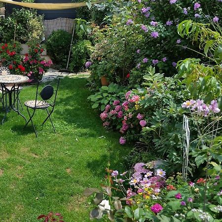 Ferienwohnung Am Berg, 35Qm Rickenbach  Exteriér fotografie